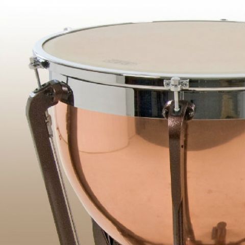 Timbal 29