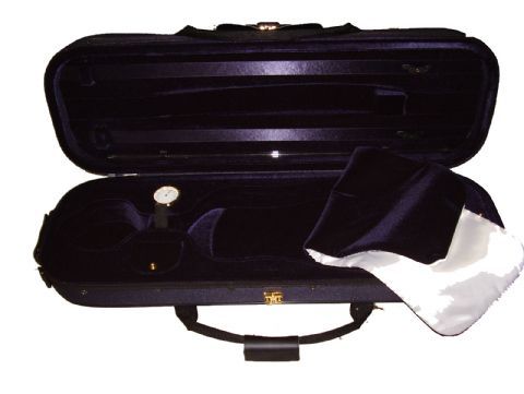 Estuche violin modelo ASN11