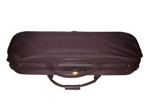 Estuche violin modelo ASN11