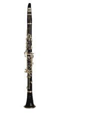 Clarinete en Sib BUFFET modelo BC1102-2-0GB E13