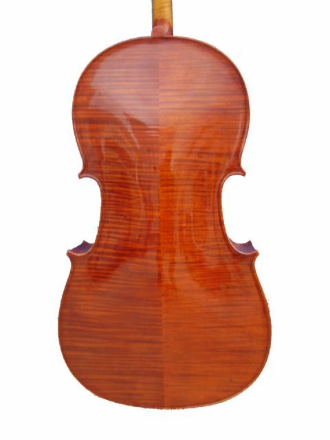 Violonchelo 4/4 STENTOR modelo ARCADIA