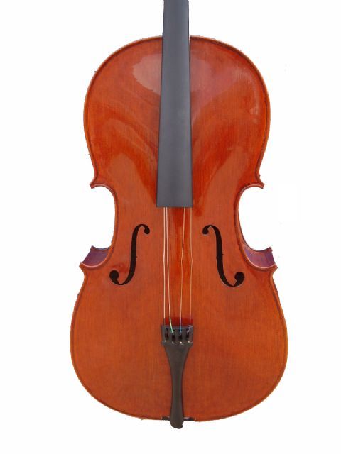 Violonchelo 4/4 STENTOR modelo ARCADIA