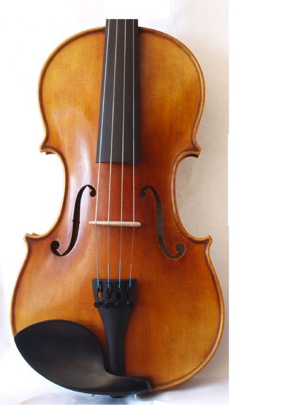 Violin 1/2 SCOTT CAO modelo MODERATO