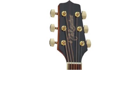 Guitarra acustica TAKAMINE modelo GD51-NAT