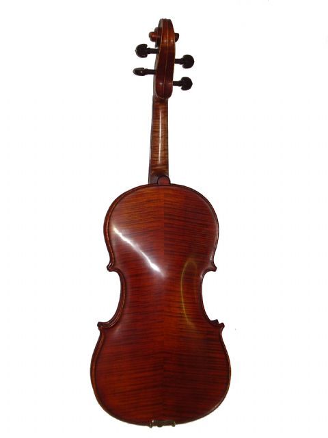 Viola 15,5