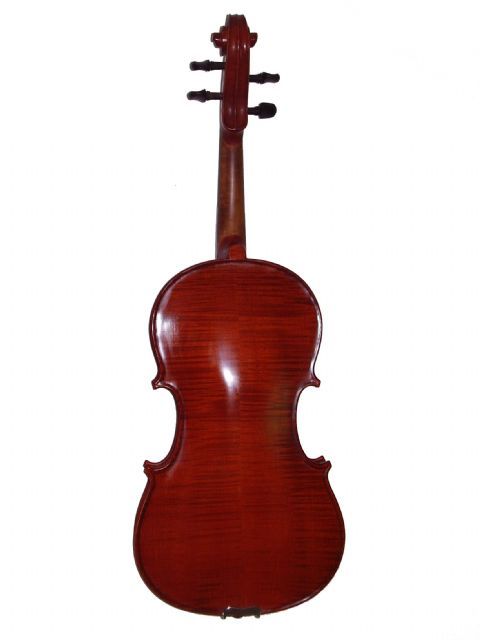 Viola 16,5