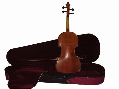 Violin 1/4 GLIGA modelo GENIAL I