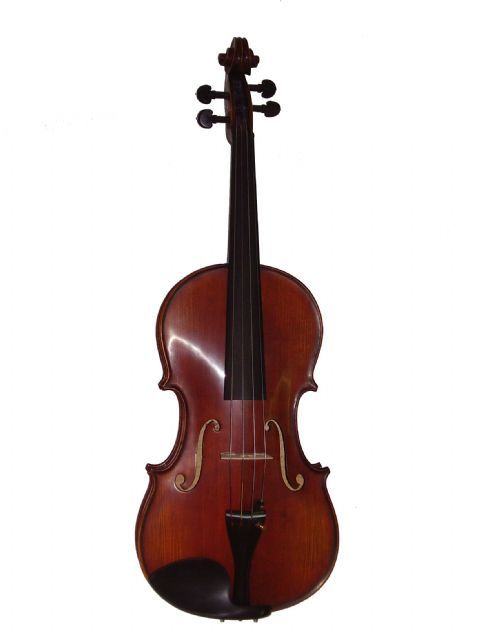 Viola 15,5