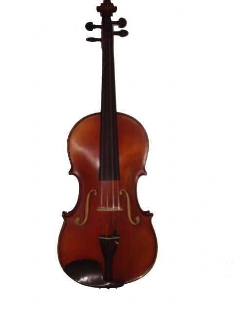 Viola 16,5