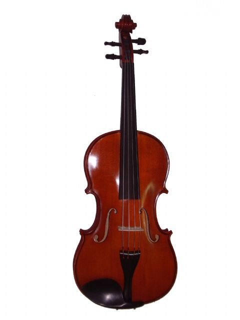 Viola 16,5