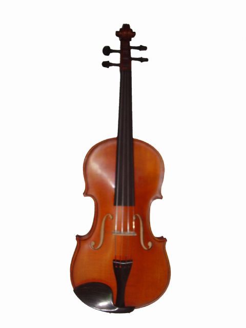 Violin 4/4 GLIGA modelo GEMS II