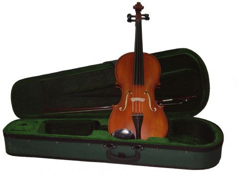 Viola 16,5