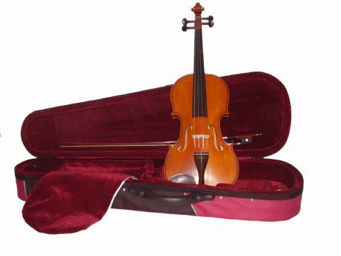 Violin 1/2 GLIGA modelo GENIAL I