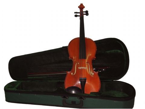 Viola 15,5