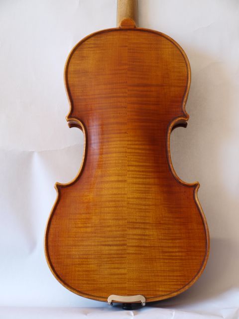 Violin 1/2 SCOTT CAO modelo MODERATO