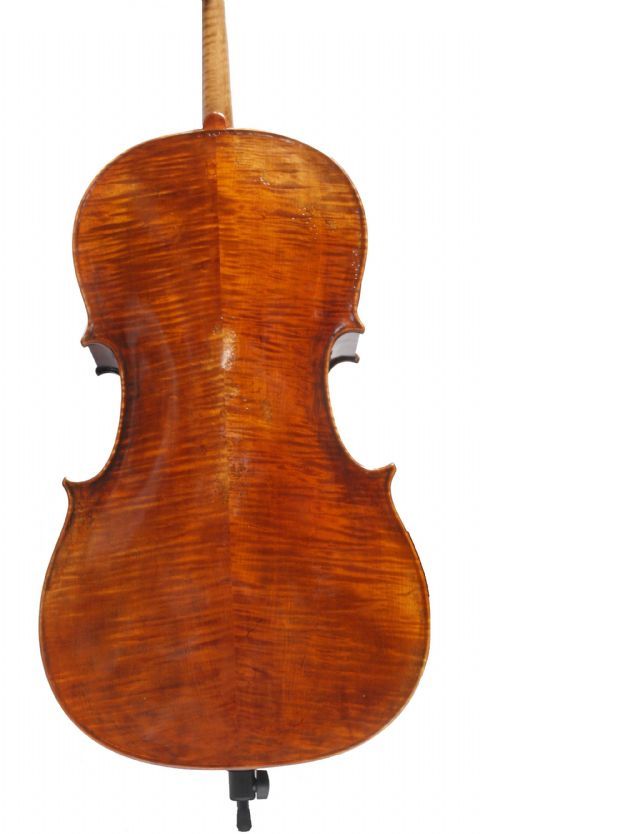 Violonchelo 4/4 ANTONIO WANG modelo VIENA