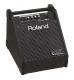 Sistema de amplificacin ROLAND modelo PM-10