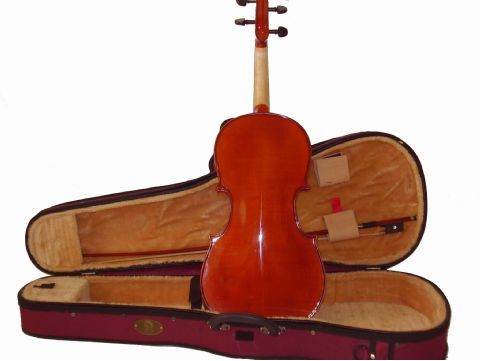 Viola 16