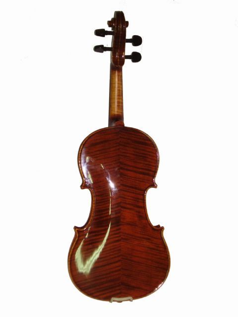 Violin 4/4 STENTOR modelo ELYSIA