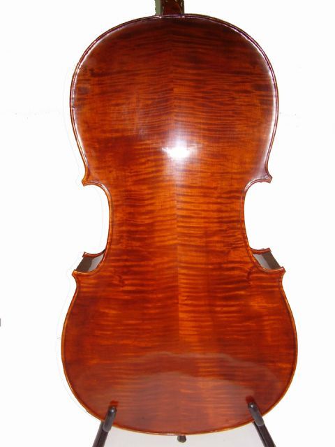 Violonchelo 4/4 STENTOR modelo MESSINA