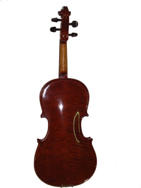 Viola 15,5