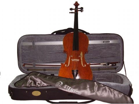 Viola 14