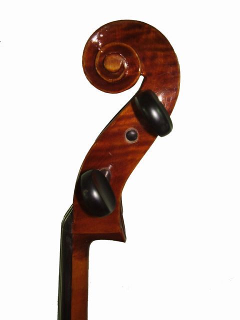 Violonchelo 4/4 STENTOR modelo MESSINA