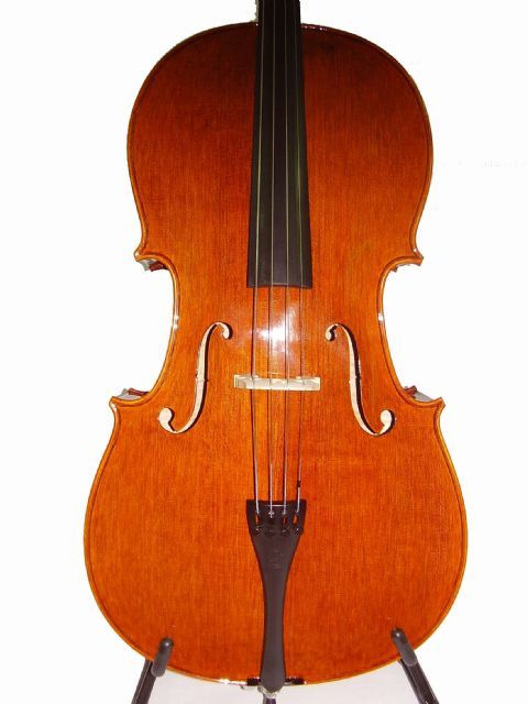 Violonchelo 4/4 STENTOR modelo MESSINA