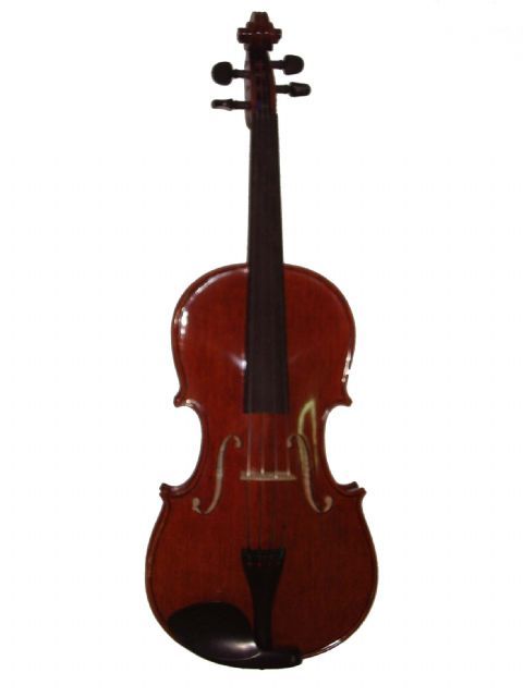 Viola 15