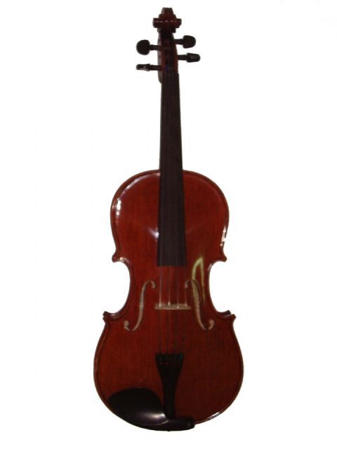 Viola 15,5