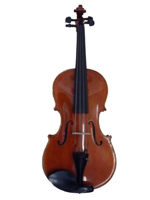 Viola 15