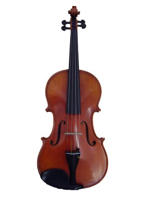 Viola 16,5 - 16 pulgadas GLIGA modelo VASILE MAESTRO I