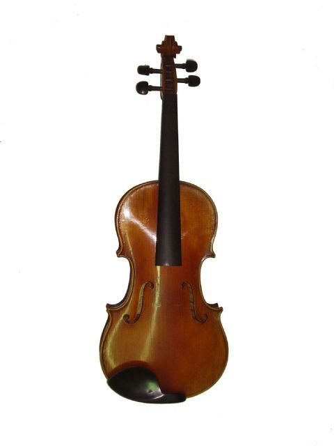 Viola 16,5