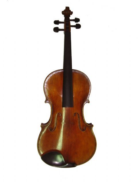 Viola 15,5