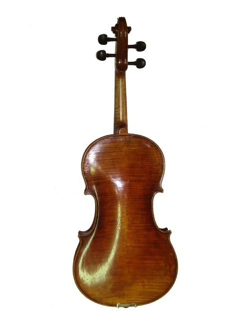 Viola 16,5