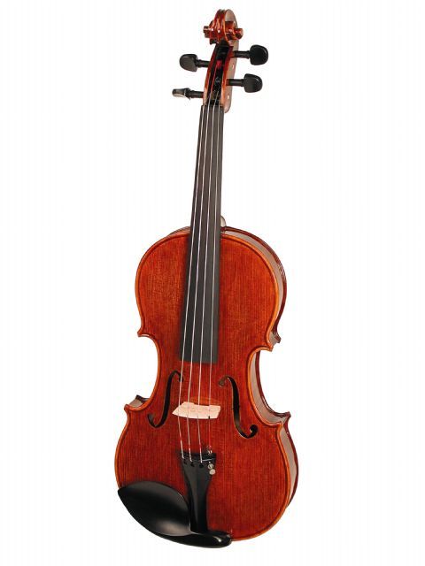 Violin 4/4 STENTOR modelo ELYSIA