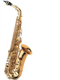 Saxofn alto YANAGISAWA modelo Elimona A-991