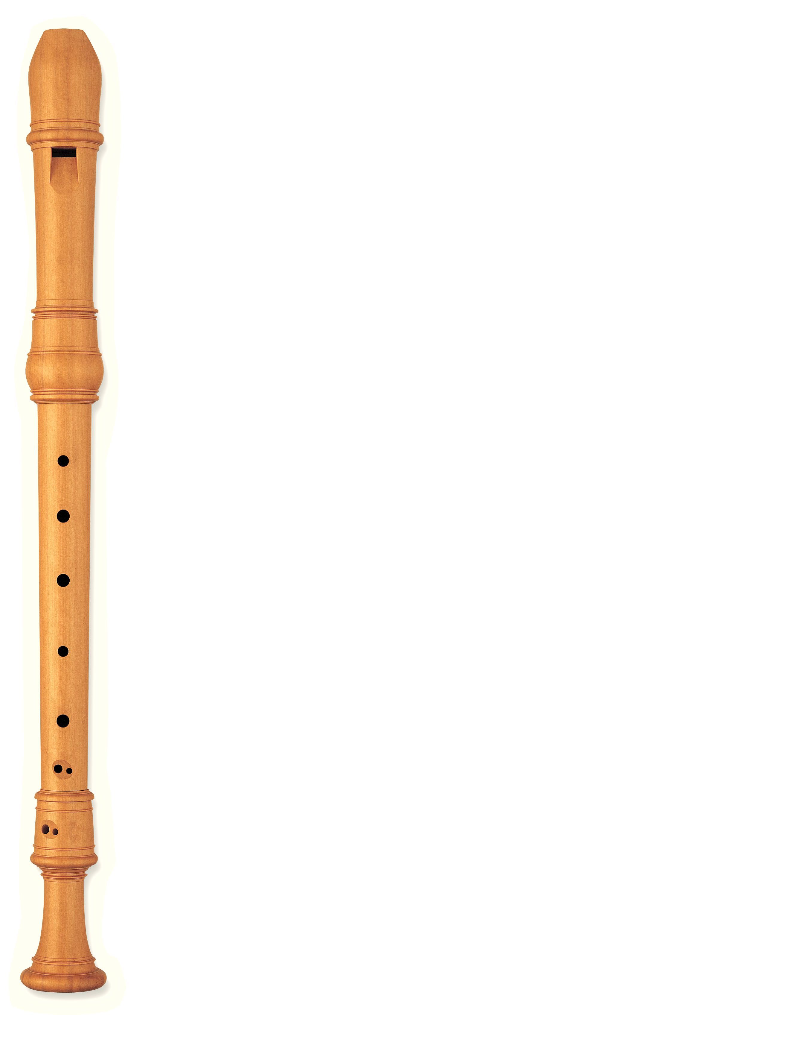 espada escala bofetada GUNE MUSIC - Instrumentos - Viento Madera - Flautas - Flautas de pico -  Flauta Alto de pico YAMAHA modelo YRA 801